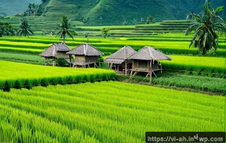 Cách xây dựng văn hóa hợp tác hiệu quả trong các tổ chức hợp tác xã hiện đại 3 협동조합의 협업 문화 조성하기 관련 이미지 1